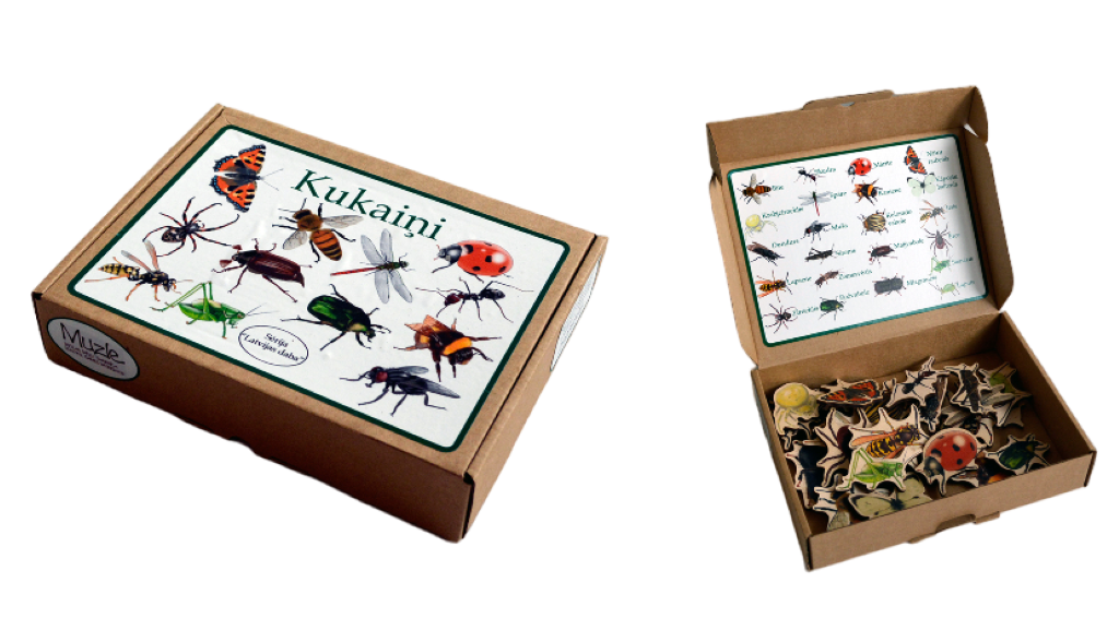 Mazais dabas spēļu komplekts Kukaiņi. 
Komplektā ietilpst 22. kukaiņu figūras.
