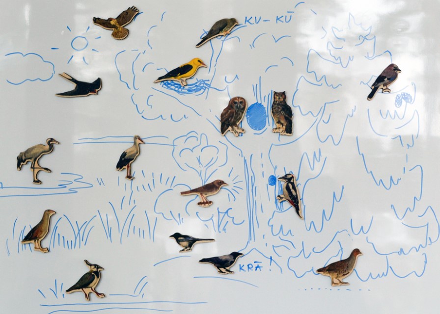 Mazais dabas spēļu komplekts Putni. 
Komplektā ietilpst 16 dažādi putni.